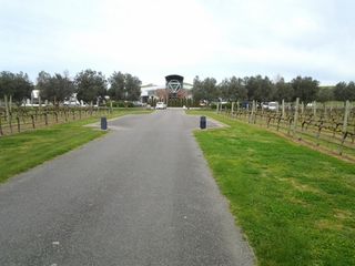 Sileni Estates