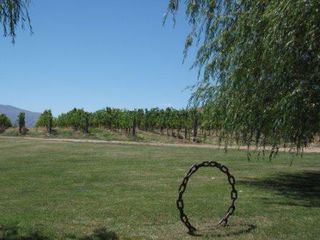 Northburn Vineyard